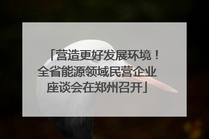 营造更好发展环境！全省能源领域民营企业座谈会在郑州召开