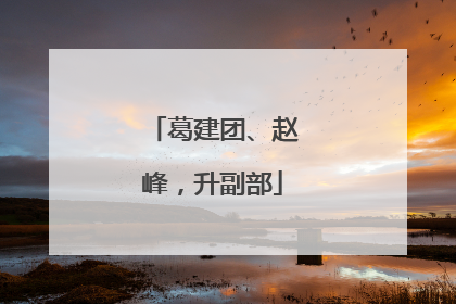 葛建团、赵峰，升副部