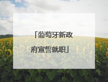 葡萄牙新政府宣誓就职