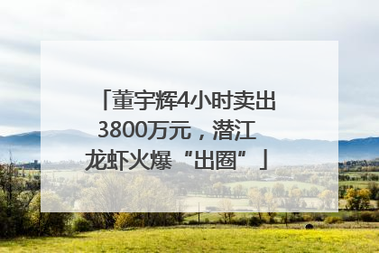 董宇辉4小时卖出3800万元，潜江龙虾火爆“出圈”
