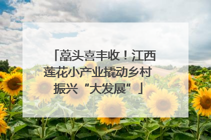 藠头喜丰收！江西莲花小产业撬动乡村振兴“大发展”