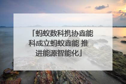 蚂蚁数科携协鑫能科成立蚂蚁鑫能 推进能源智能化