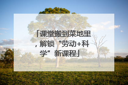 课堂搬到菜地里，解锁“劳动+科学”新课程