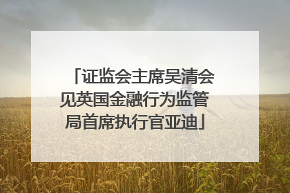 证监会主席吴清会见英国金融行为监管局首席执行官亚迪