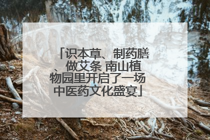 识本草、制药膳、做艾条 南山植物园里开启了一场中医药文化盛宴