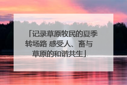 记录草原牧民的夏季转场路 感受人、畜与草原的和谐共生