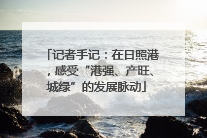 记者手记：在日照港，感受“港强、产旺、城绿”的发展脉动