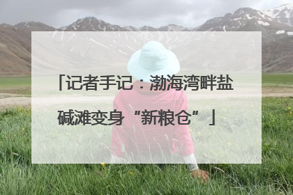 记者手记：渤海湾畔盐碱滩变身“新粮仓”