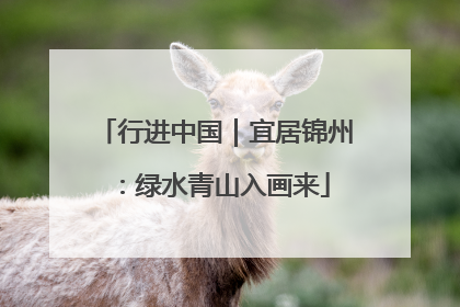 行进中国｜宜居锦州：绿水青山入画来