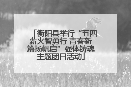 衡阳县举行“五四薪火智勇行 青春新篇扬帆启”强体铸魂主题团日活动