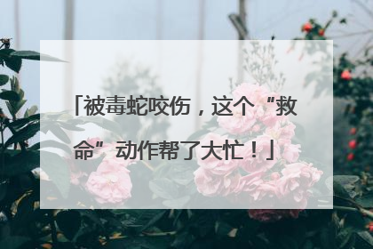 被毒蛇咬伤，这个“救命”动作帮了大忙！