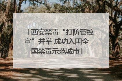 西安禁毒“打防管控宣”并举 成功入围全国禁毒示范城市