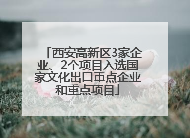 西安高新区3家企业、2个项目入选国家文化出口重点企业和重点项目