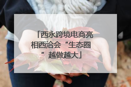 西永跨境电商亮相西洽会“生态圈”越做越大