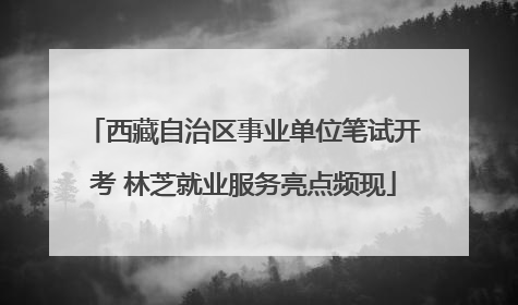 西藏自治区事业单位笔试开考 林芝就业服务亮点频现