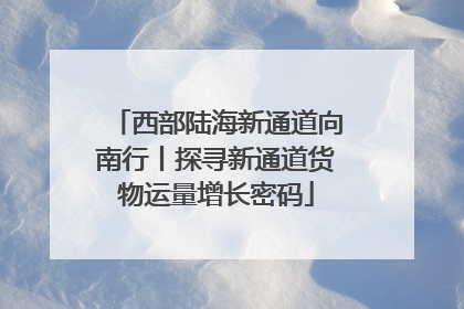 西部陆海新通道向南行丨探寻新通道货物运量增长密码