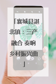 襄城县湛北镇：三产融合 奏响乡村振兴曲