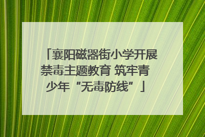 襄阳磁器街小学开展禁毒主题教育 筑牢青少年“无毒防线”