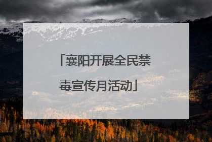 襄阳开展全民禁毒宣传月活动