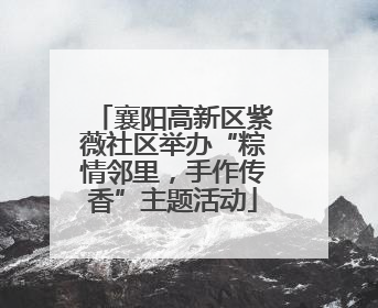 襄阳高新区紫薇社区举办“粽情邻里，手作传香”主题活动