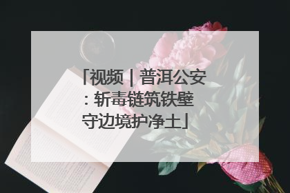 视频｜普洱公安：斩毒链筑铁壁 守边境护净土