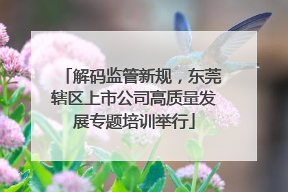 解码监管新规，东莞辖区上市公司高质量发展专题培训举行