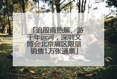 追殷商热展、游千年运河，深圳文博会北京展区限量销售1万张通票