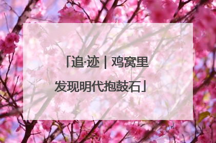 追·迹｜鸡窝里发现明代抱鼓石