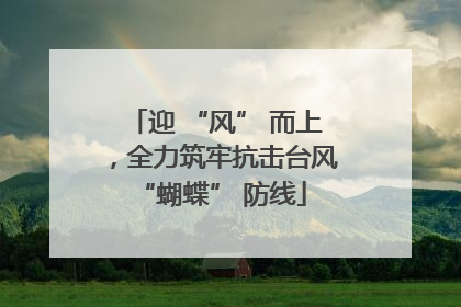 迎 “风” 而上，全力筑牢抗击台风 “蝴蝶” 防线