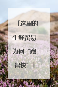 这里的生鲜贸易为何“跑得快”