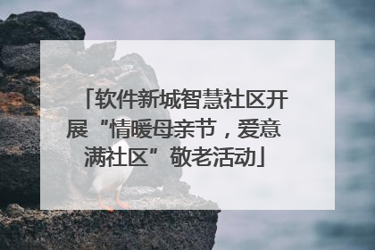 软件新城智慧社区开展“情暖母亲节，爱意满社区”敬老活动