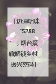 边疆明珠“5288”，烟台援藏解锁乡村振兴密码