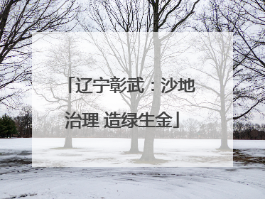 辽宁彰武：沙地治理 造绿生金