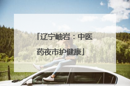 辽宁岫岩：中医药夜市护健康