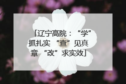 辽宁高院：“学”抓扎实 “查”见真章 “改”求实效