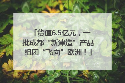 货值6.5亿元，一批成都“新津造”产品组团“飞向”欧洲！