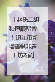 赵氏二胡和恒顺醋博！镇江市新增省级非遗工坊2家