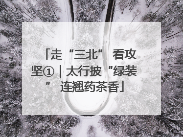 走“三北” 看攻坚①｜太行披“绿装” 连翘药茶香