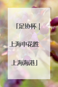 足协杯｜上海申花胜上海海港