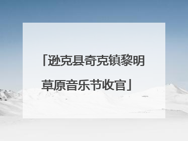 逊克县奇克镇黎明草原音乐节收官