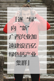 逐“绿”向“新” 广西兴业加速建设百亿绿色钙产业集群
