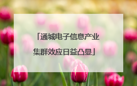 通城电子信息产业集群效应日益凸显