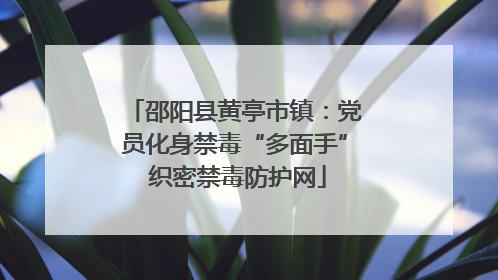 邵阳县黄亭市镇：党员化身禁毒“多面手” 织密禁毒防护网