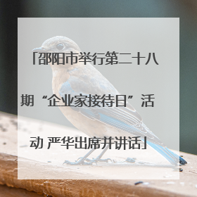 邵阳市举行第二十八期“企业家接待日”活动 严华出席并讲话
