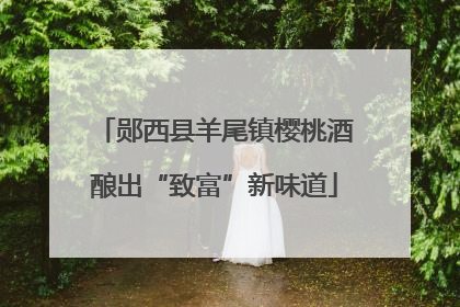 郧西县羊尾镇樱桃酒酿出“致富”新味道