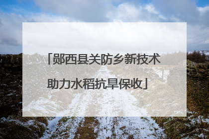 郧西县关防乡新技术助力水稻抗旱保收