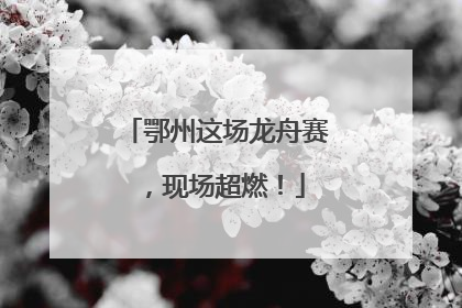鄂州这场龙舟赛，现场超燃！