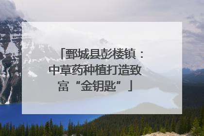 鄄城县彭楼镇：中草药种植打造致富“金钥匙”