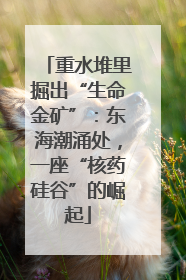 重水堆里掘出“生命金矿”：东海潮涌处，一座“核药硅谷”的崛起
