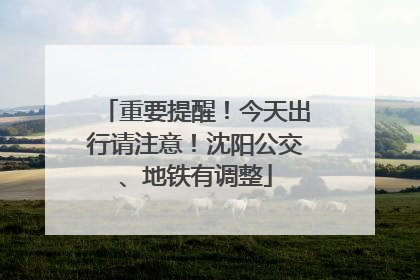 重要提醒！今天出行请注意！沈阳公交、地铁有调整
